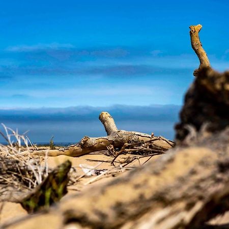Shipwreck Lodge Mowebaai Zewnętrze zdjęcie