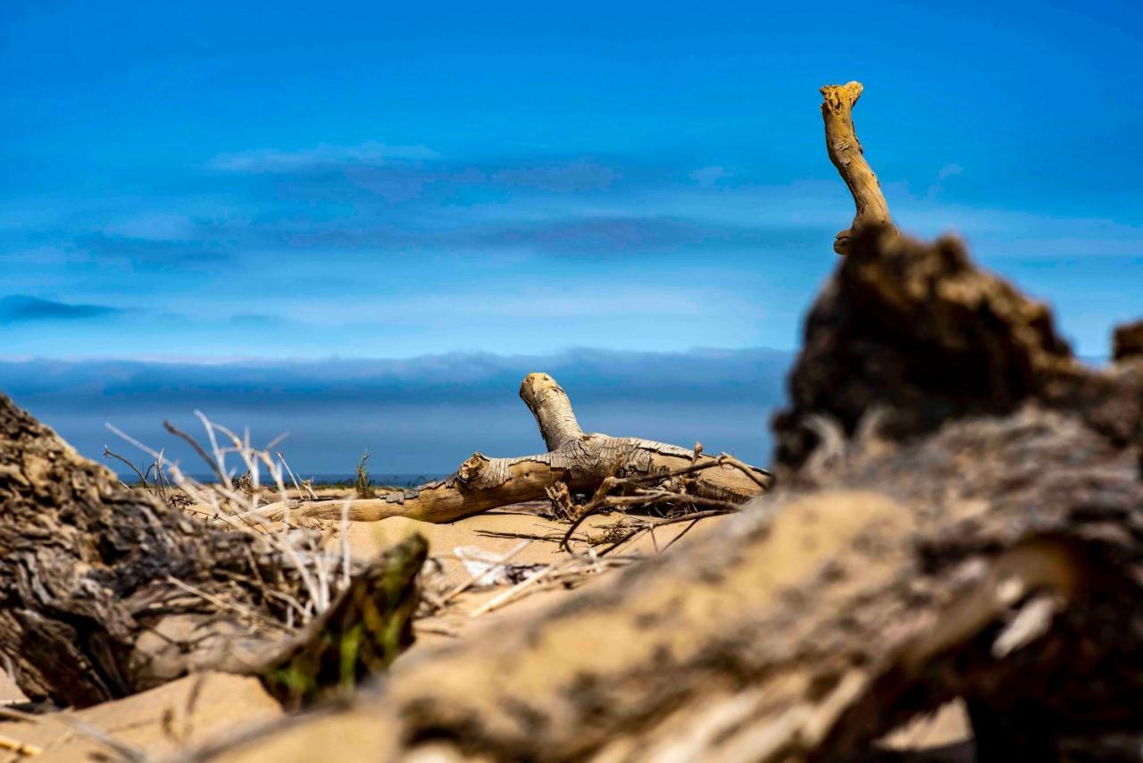 Shipwreck Lodge Mowebaai Zewnętrze zdjęcie