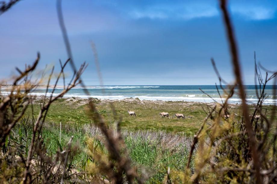 Shipwreck Lodge Mowebaai Zewnętrze zdjęcie
