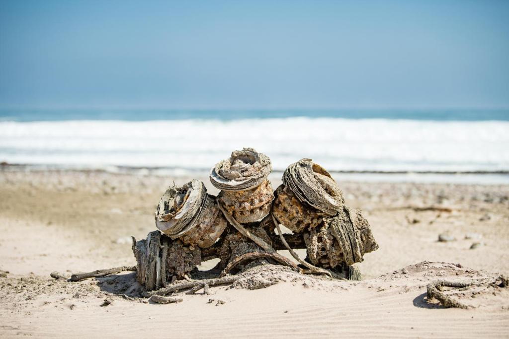 Shipwreck Lodge Mowebaai Zewnętrze zdjęcie